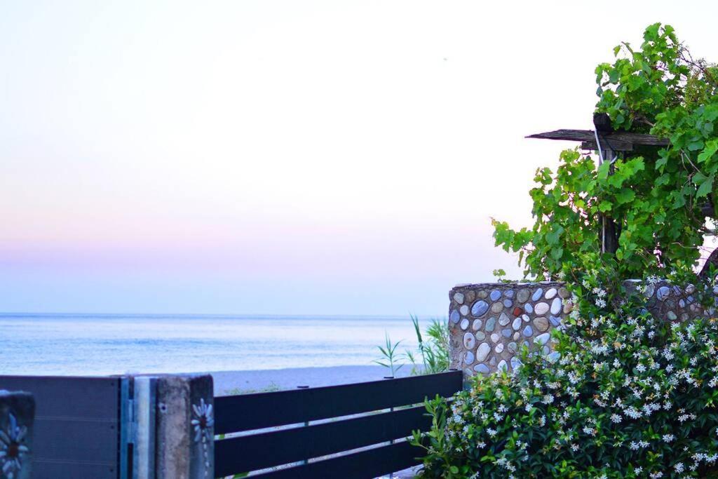 Amazing Beach House Chorefton Exterior foto